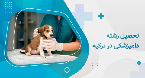 تحصیل رشته دامپزشکی در ترکیه