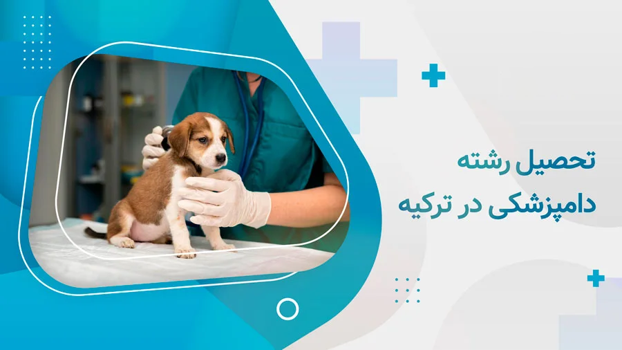 تحصیل رشته دامپزشکی در ترکیه